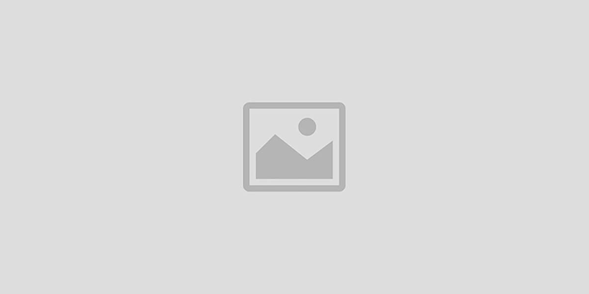 Model Company
